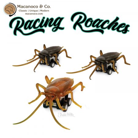 12939 Racing Roaches 1